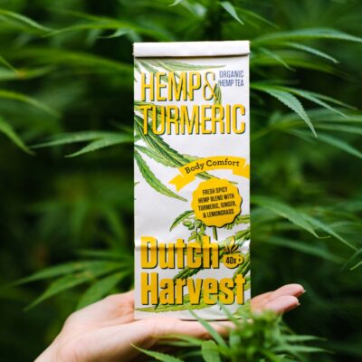 Dutch-Harvest-Hanftee-hand-HempTurmeric